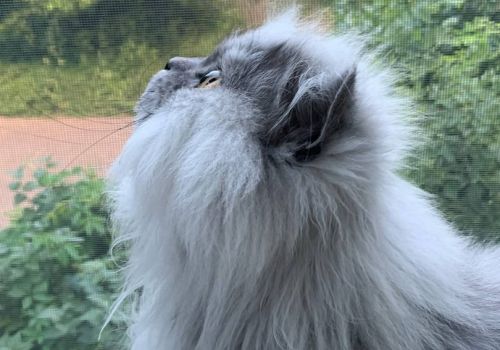 Для вновь прибывших
